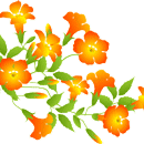 のうぜんかずら