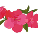 アザレア（赤）