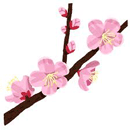 つるにちにち草