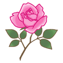 ばら（ピンク）