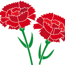 カーネーション