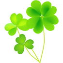 クローバー（四つ葉）