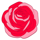 ラナンキュラス（赤）