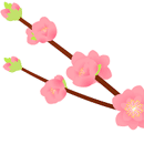 アーモンド（花）