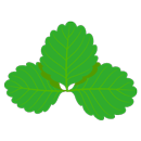 いちご（葉）