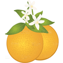 オレンジ（花）